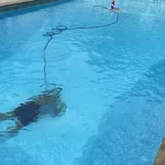 Pool Maintenance
