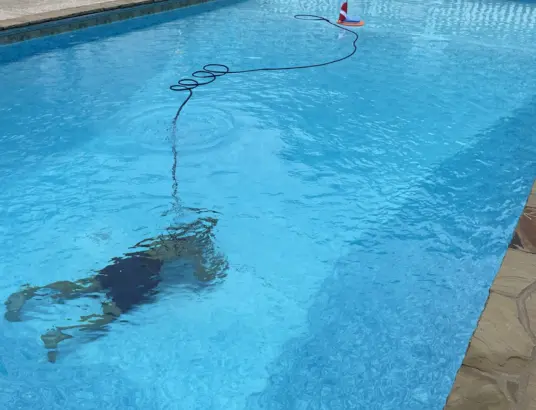 Pool Maintenance